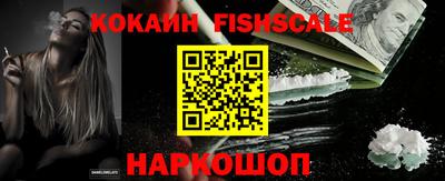 индика Кингисепп