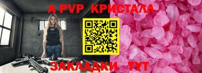 индика Кингисепп