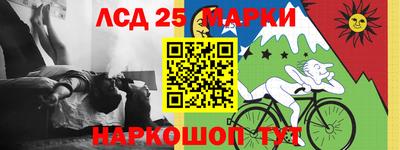 индика Кингисепп