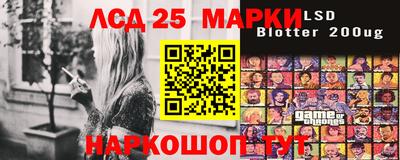 индика Кингисепп