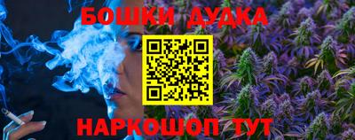 индика Кингисепп