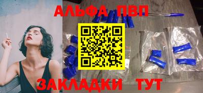индика Кингисепп