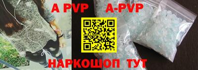индика Кингисепп