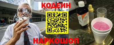 индика Кингисепп