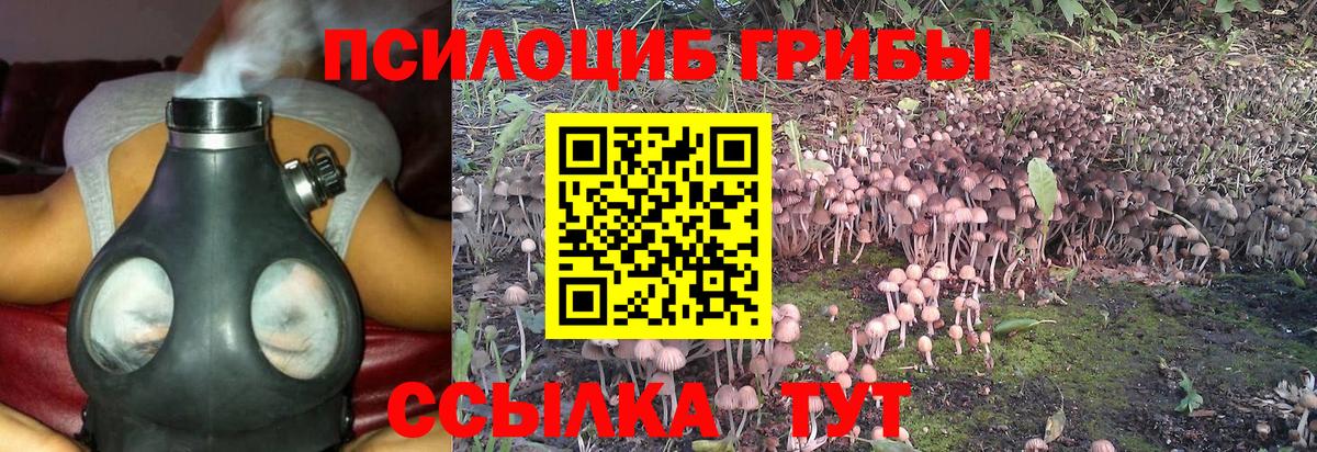Псилоцибиновые грибы Cubensis Лабинск